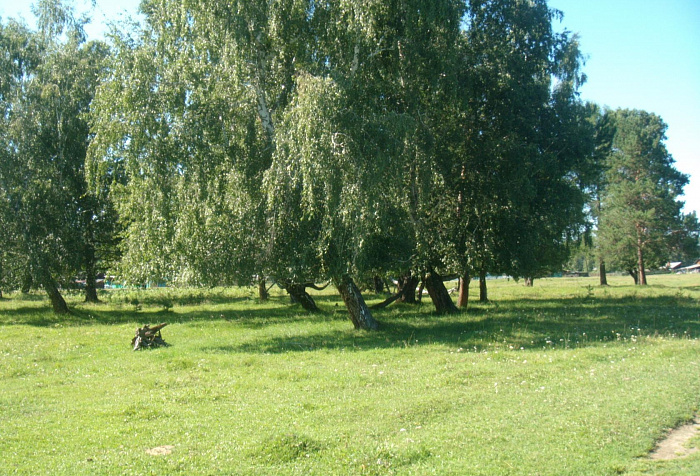 Тальниковский Аршан