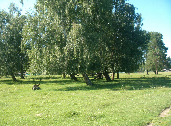 Тальниковский Аршан