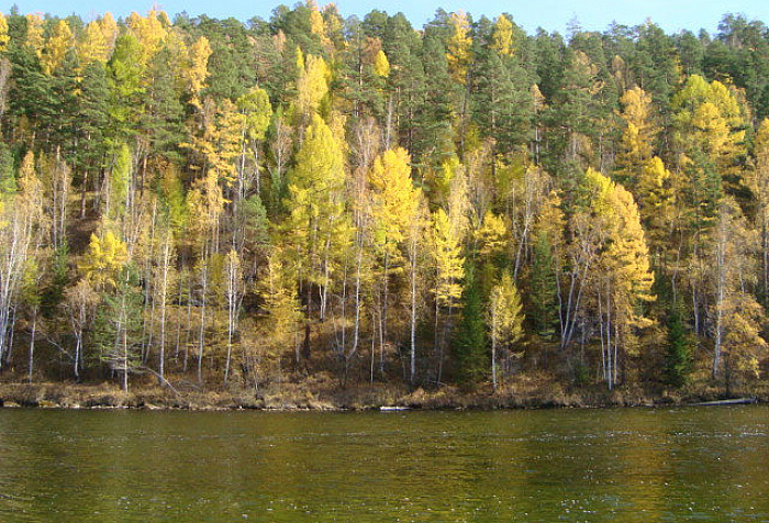 Тальниковский Аршан