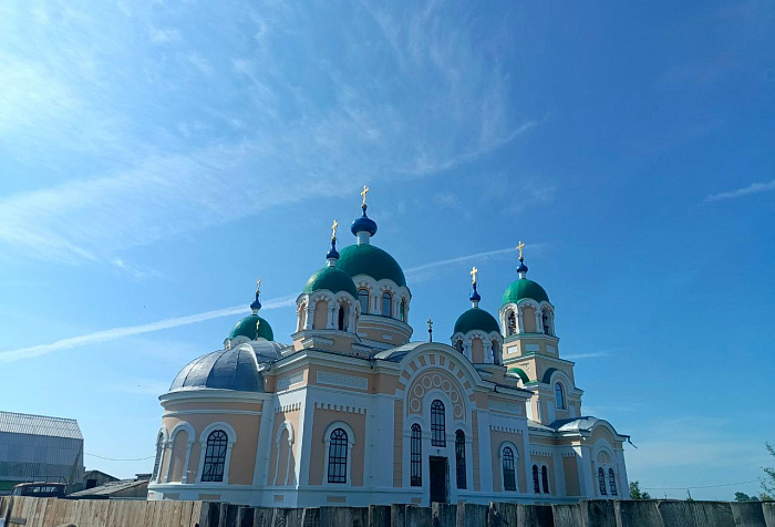 Живая тайга