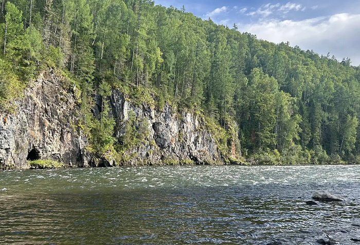 Живая тайга